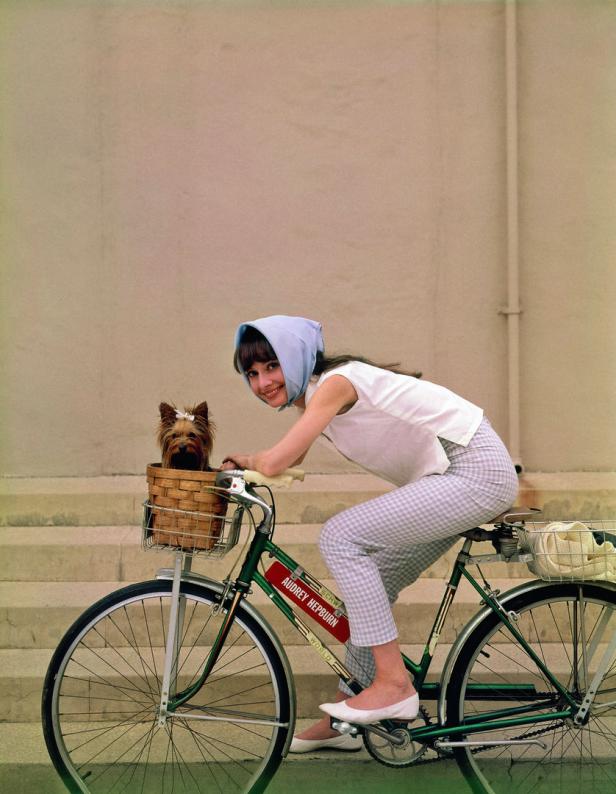 Hepburn sitzt mit Kopftuch auf einem Fahrrad. Im Korb am Lenker sitzt ein Hund